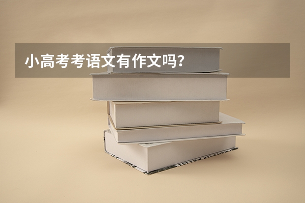 小高考考语文有作文吗？