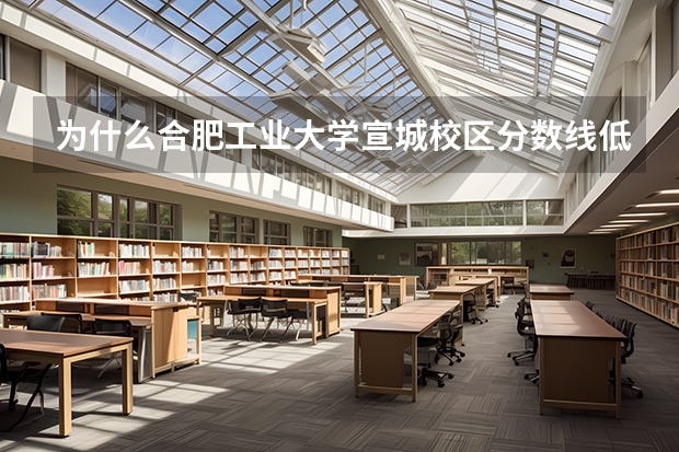 为什么合肥工业大学宣城校区分数线低