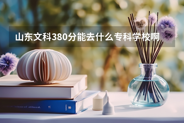 山东文科380分能去什么专科学校啊