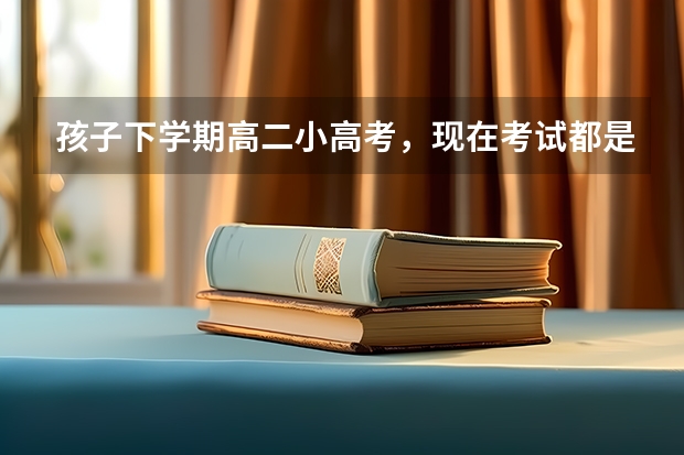 孩子下学期高二小高考，现在考试都是不及格的，怎么办？