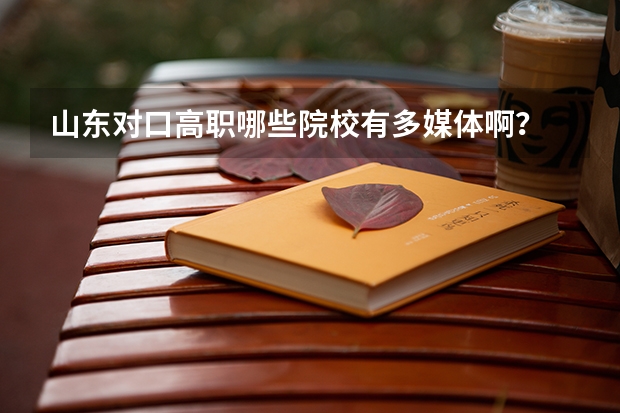 山东对口高职哪些院校有多媒体啊？