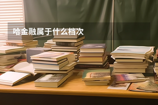 哈金融属于什么档次