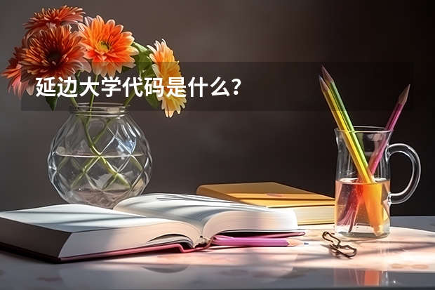 延边大学代码是什么？