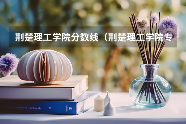 荆楚理工学院分数线（荆楚理工学院专业分数线）