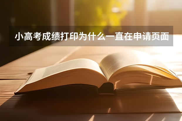 小高考成绩打印为什么一直在申请页面