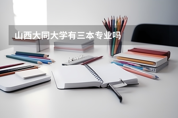 山西大同大学有三本专业吗