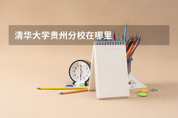 清华大学贵州分校在哪里