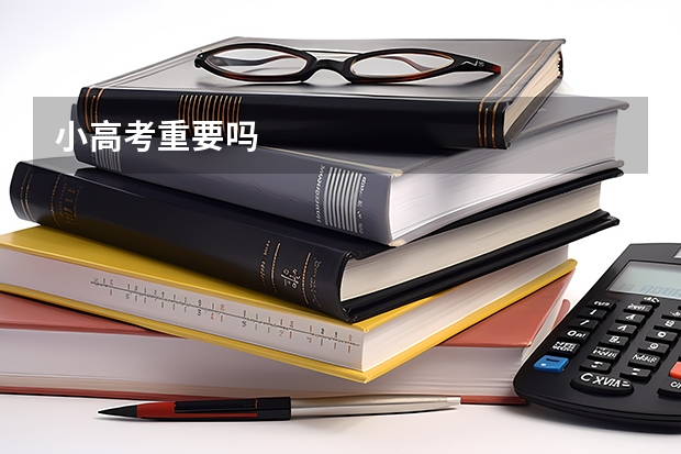 小高考重要吗