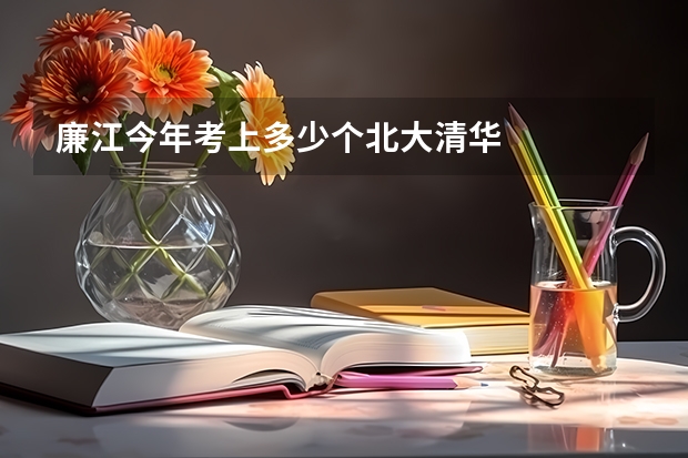 廉江今年考上多少个北大清华