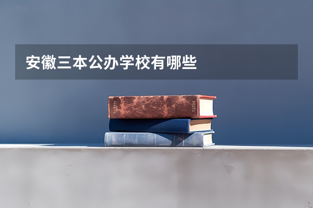安徽三本公办学校有哪些