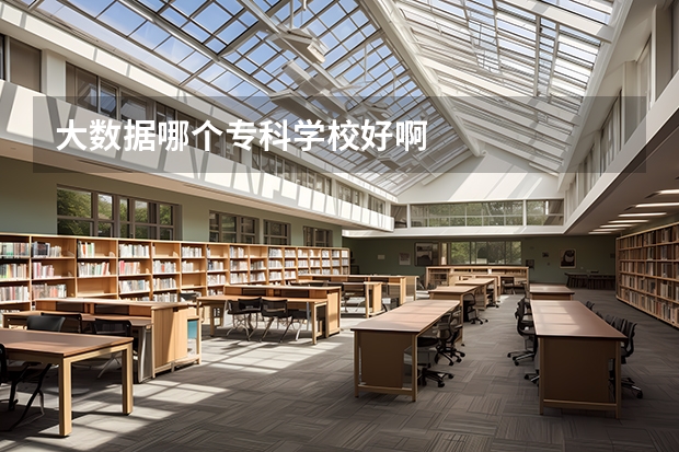 大数据哪个专科学校好啊