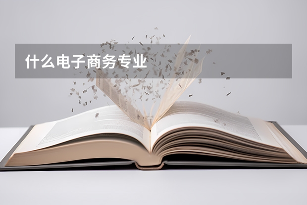 什么电子商务专业