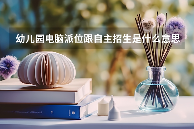 幼儿园电脑派位跟自主招生是什么意思
