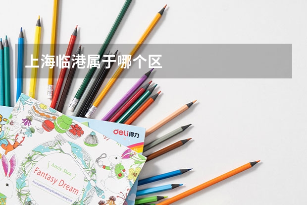 上海临港属于哪个区