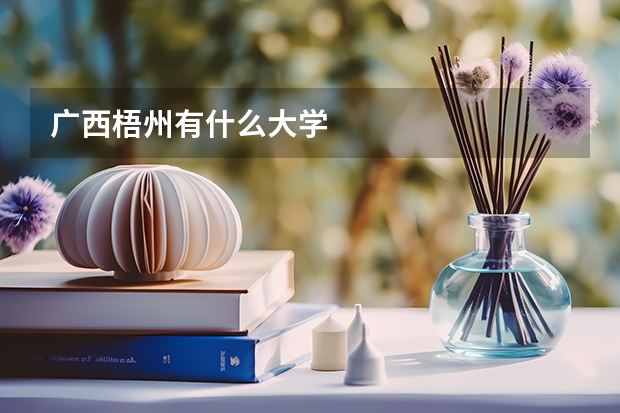 广西梧州有什么大学
