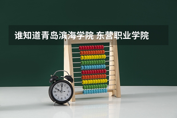 谁知道青岛滨海学院 东营职业学院 滨海职业学院 山东科技职业学院 德州科技职业学院 聊城教育学院的分数线（东营职业学院单招分数线）