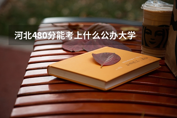 河北480分能考上什么公办大学