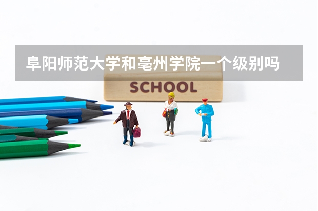 阜阳师范大学和亳州学院一个级别吗
