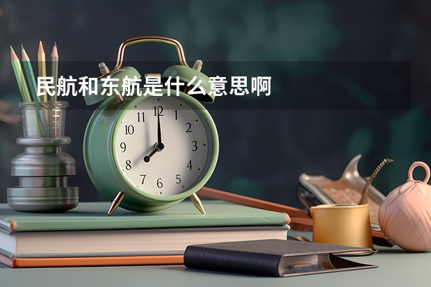 民航和东航是什么意思啊