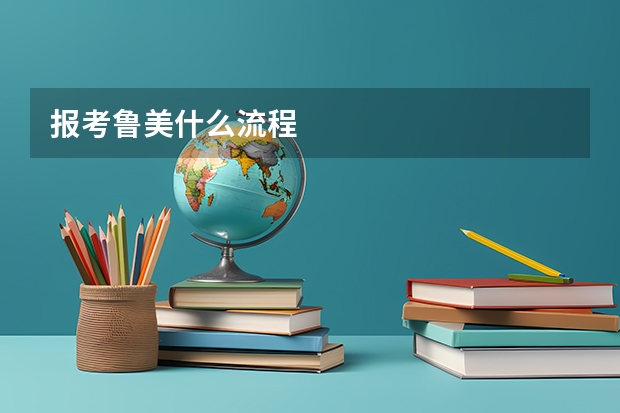 报考鲁美什么流程