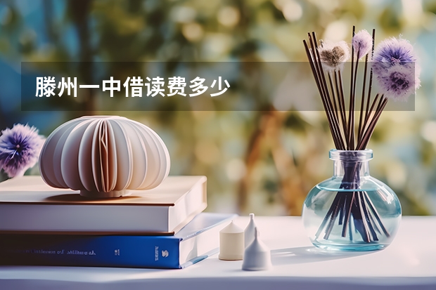 滕州一中借读费多少