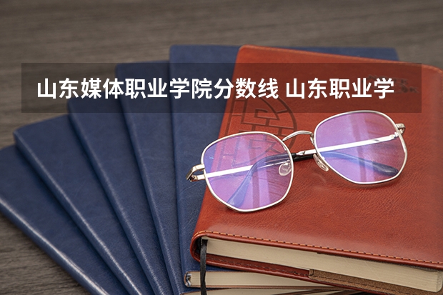 山东媒体职业学院分数线 山东职业学院录取分数线