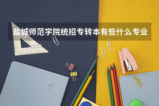 盐城师范学院统招专转本有些什么专业好考?