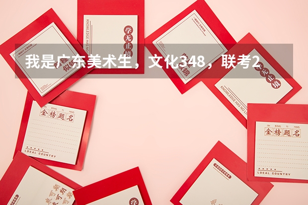 我是广东美术生，文化348，联考226~可以报什么大学