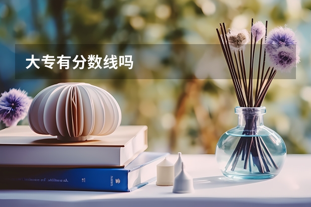 大专有分数线吗