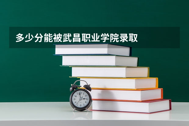 多少分能被武昌职业学院录取
