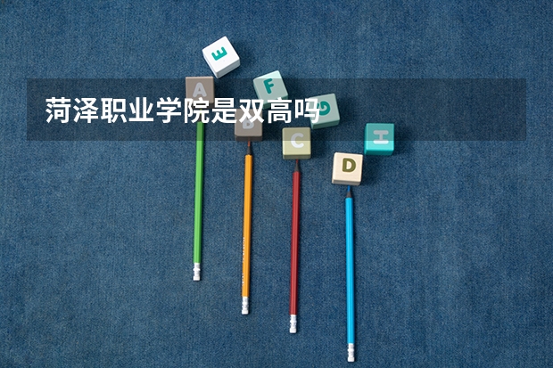 菏泽职业学院是双高吗