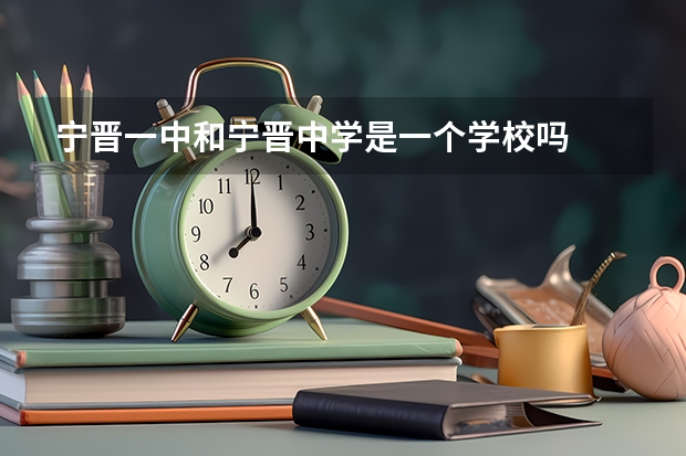 宁晋一中和宁晋中学是一个学校吗