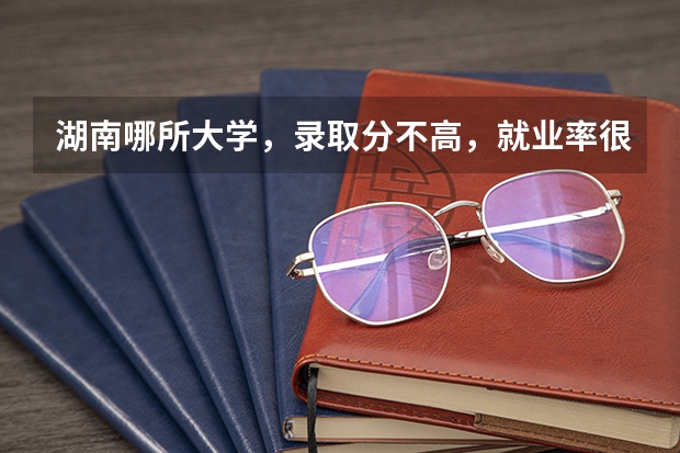 湖南哪所大学，录取分不高，就业率很高？ 警校的最低分数、要求。