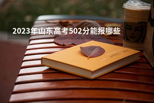 2023年山东高考502分能报哪些公办大学