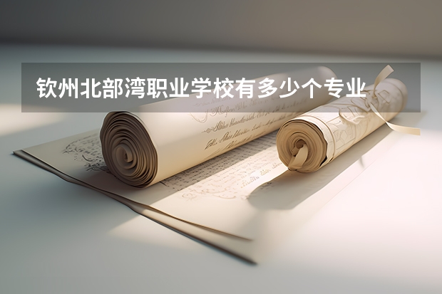 钦州北部湾职业学校有多少个专业