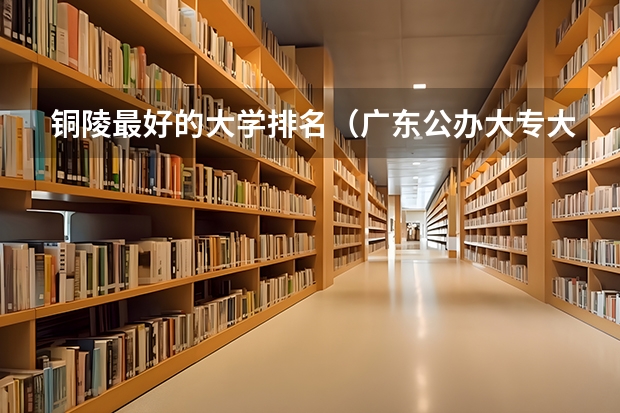铜陵最好的大学排名（广东公办大专大学排名）