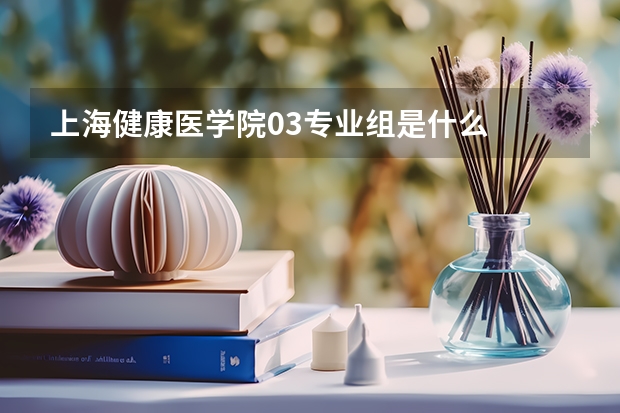 上海健康医学院03专业组是什么