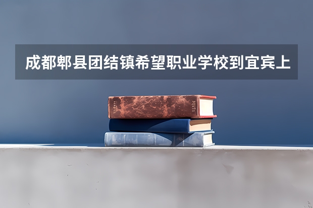 成都郫县团结镇希望职业学校到宜宾上渡口有多少公里?