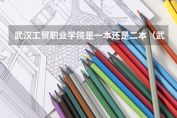 武汉工贸职业学院是一本还是二本（武汉外语外事职业学院差不多的学校）