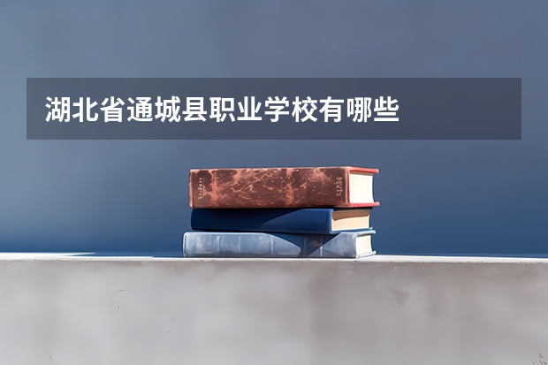湖北省通城县职业学校有哪些