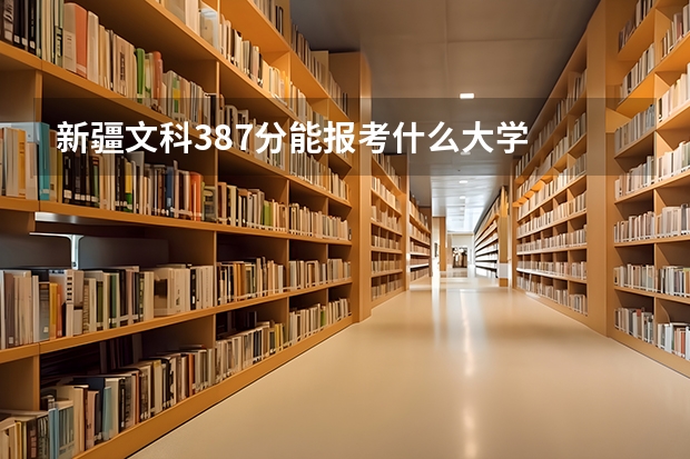 新疆文科387分能报考什么大学
