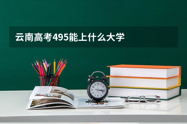 云南高考495能上什么大学