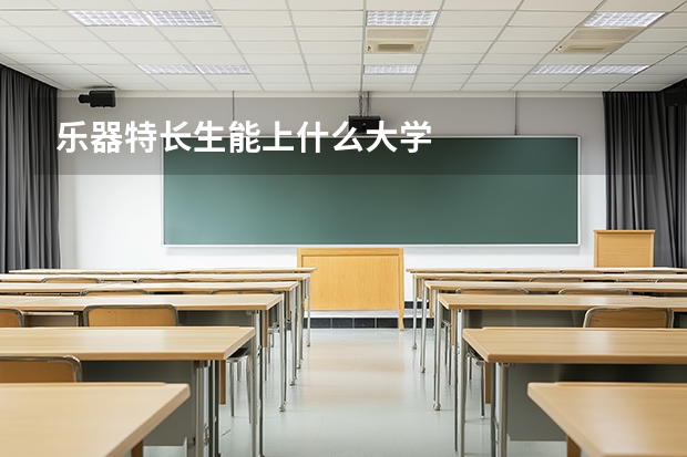 乐器特长生能上什么大学