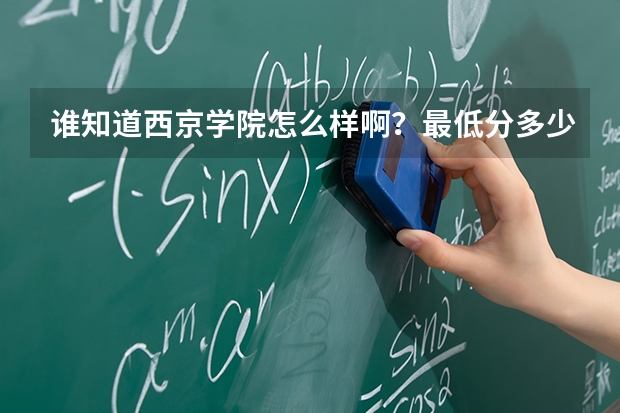 谁知道西京学院怎么样啊?最低分多少?