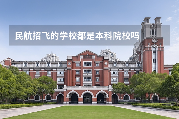 民航招飞的学校都是本科院校吗