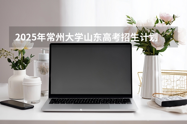 2025年常州大学山东高考招生计划（2026参考）