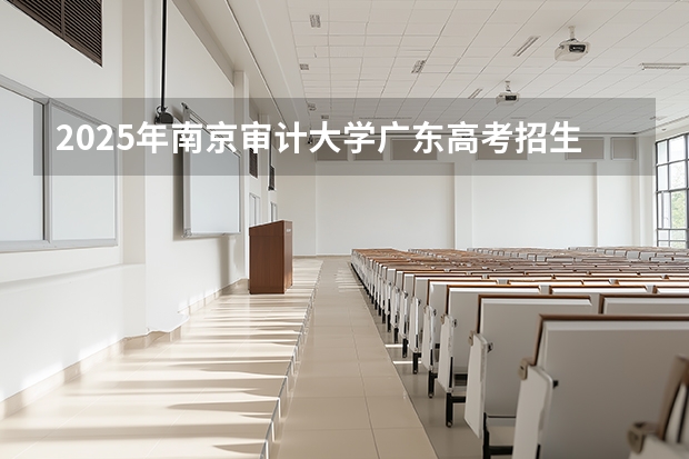 2025年南京审计大学广东高考招生计划（2026参考）