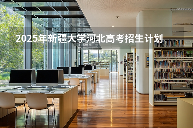 2025年新疆大学河北高考招生计划（2026参考）