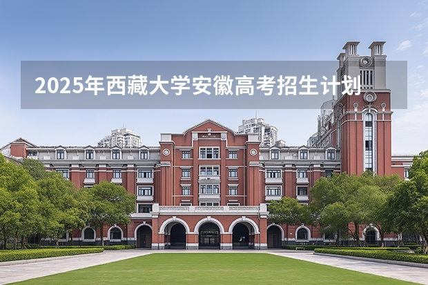 2025年西藏大学安徽高考招生计划（2026参考）