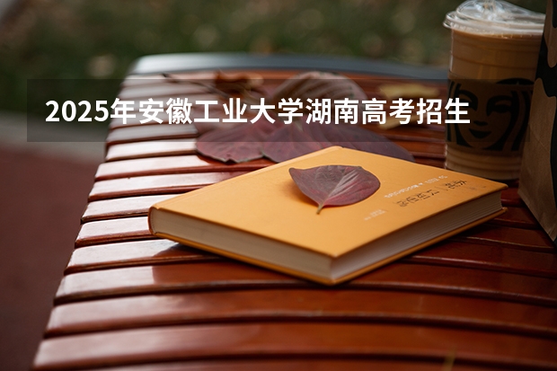 2025年安徽工业大学湖南高考招生计划（2026参考）